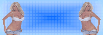 banner2.gif